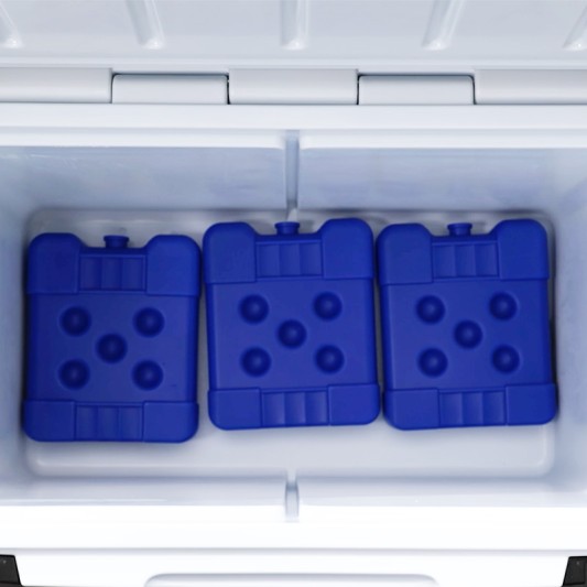 Four blue ice packs are neatly arranged inside a L L Bean cooler.