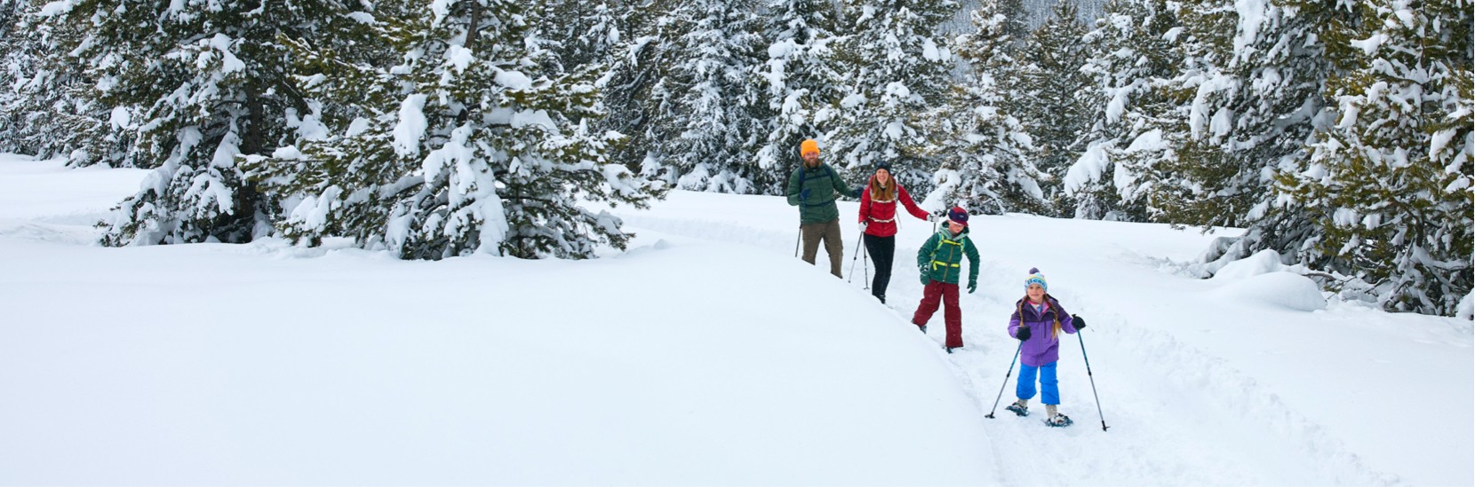 Family of four snowshoeing on a snow covered path in a wooded area
