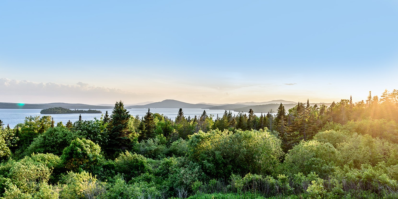 Sunlit forest with dense green trees overlooking a calm lake and distant mountains under a clear blue sky.