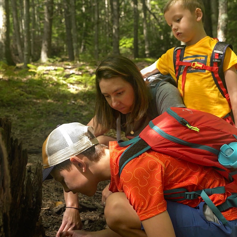 Three people with backpacks are exploring a forest, closely examining something on the ground.