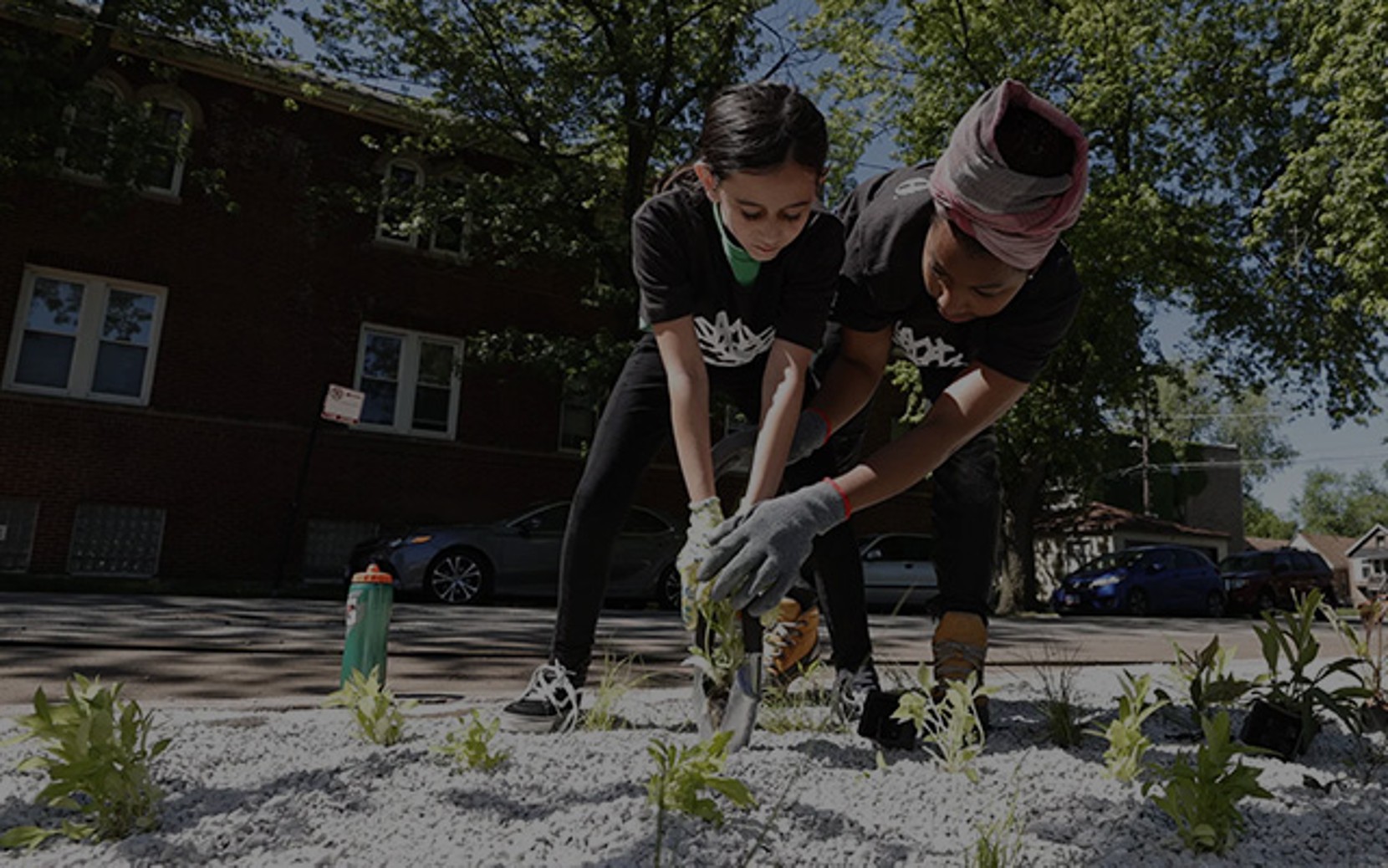 A child and adult plant seedlings in soil on a sunny day, with trees and buildings in the background.