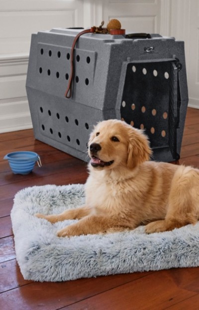 Golden retriever puppy lies on fluffy bed near pet carrier with toy and leash on top; blue bowl sits nearby.