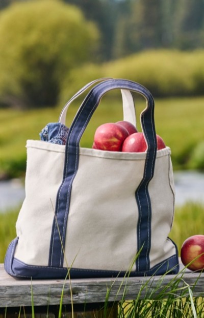 White canvas tote with blue trim, filled with red apples, sits on a wooden bench outdoors; grassy field and trees in the background.