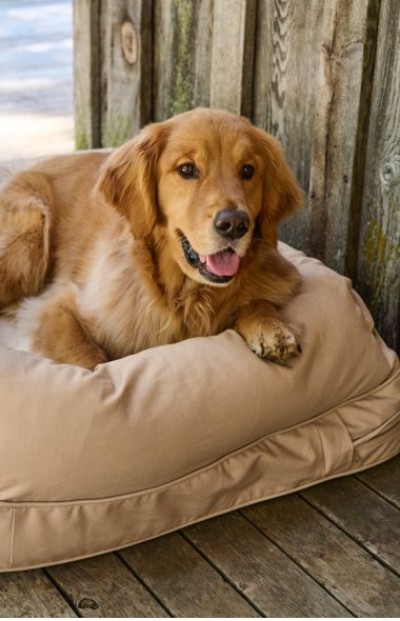 Golden retriever relaxing on a beige dog bed, leaning against a wooden fence on a cozy deck.