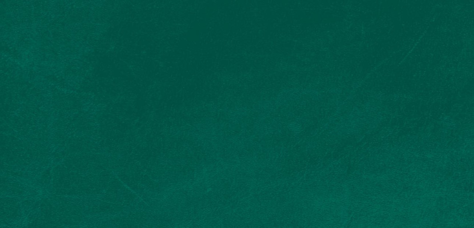 Solid green textured background with subtle variations in tone.