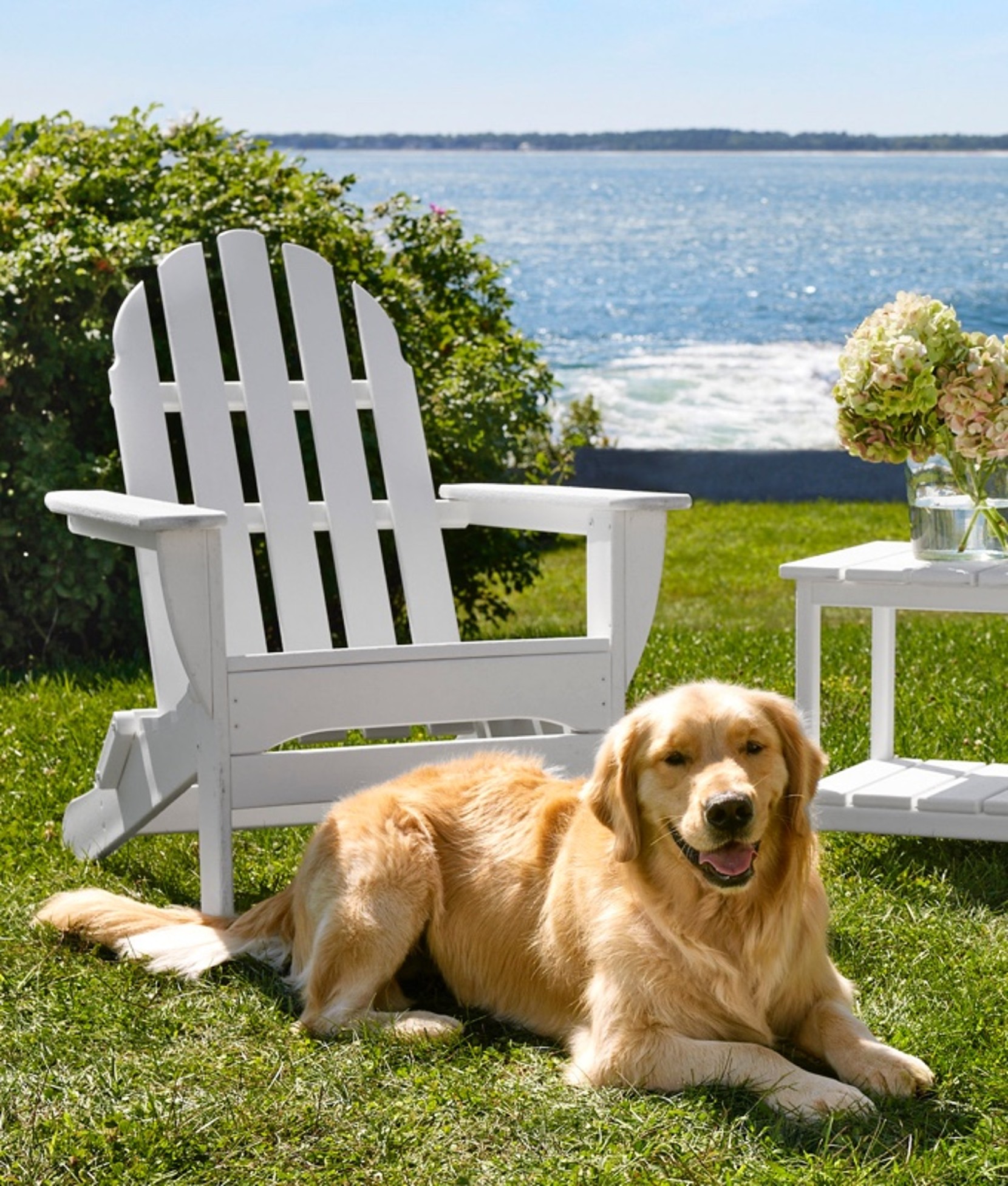 A dog sitting on the grass in front of a white adirondack chair, the ocean in the background.