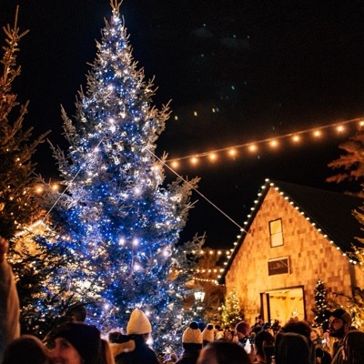 Large Christmas tree with blue and white lights in a festive outdoor scene, surrounded by people and lit buildings.