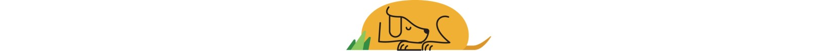 A whimsically illustrated yellow labrador sleeping.