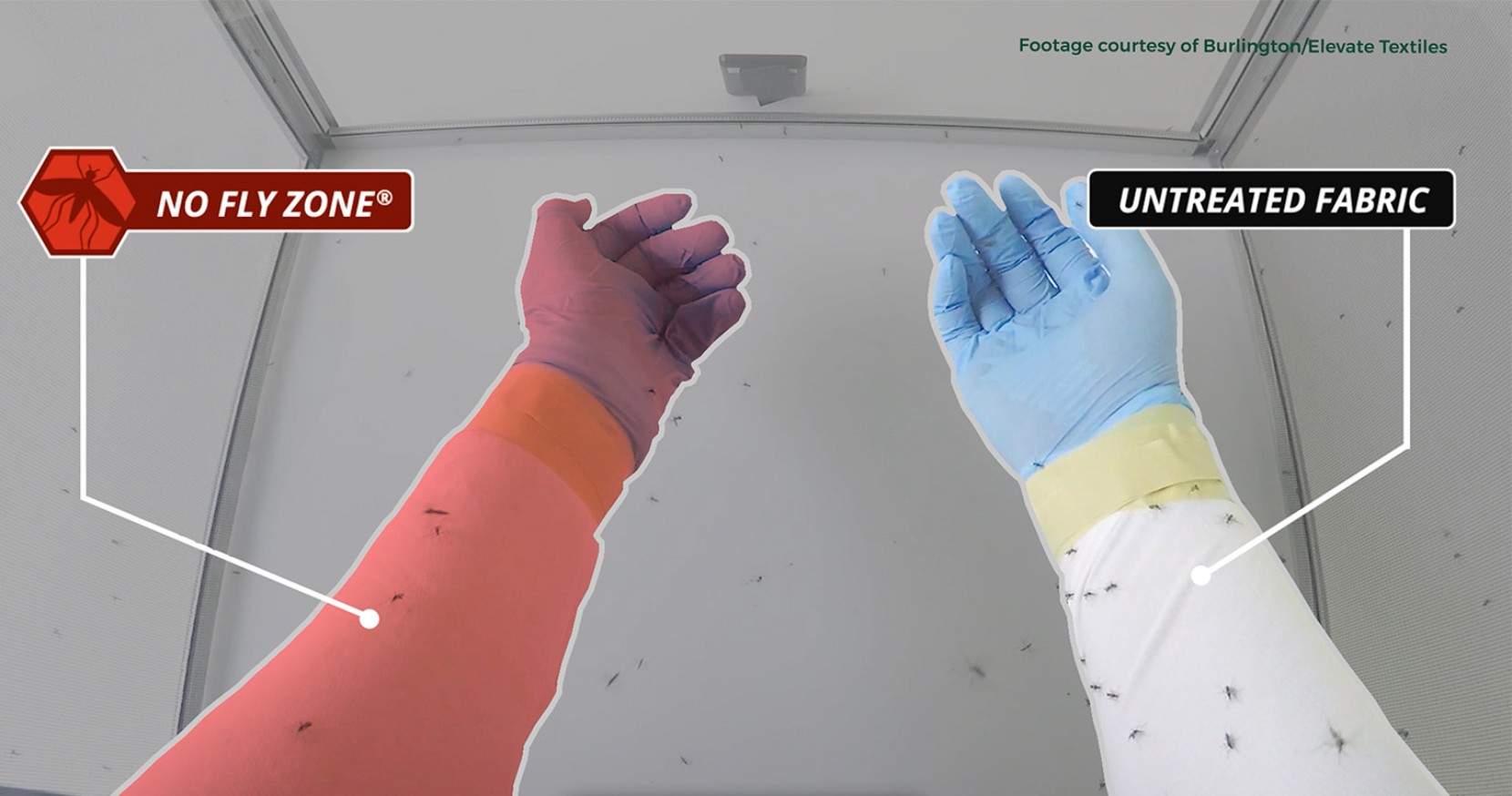 Comparison of treated sleeve labeled No Fly Zone with few flies versus untreated sleeve covered in flies. 