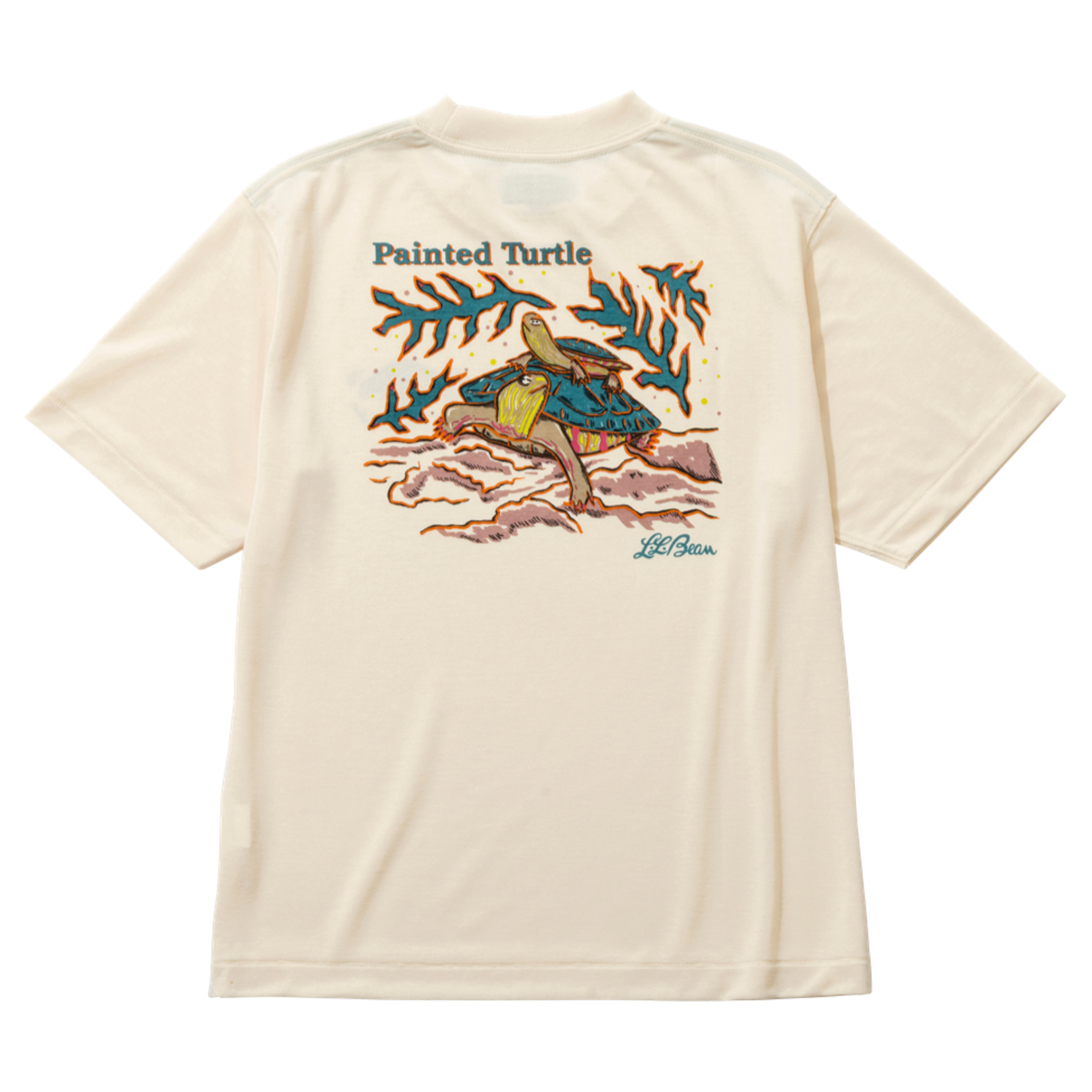 Cream color short sleeve tee shirt with an illustration and text that says "painted turtle" and L. L. Bean logo.