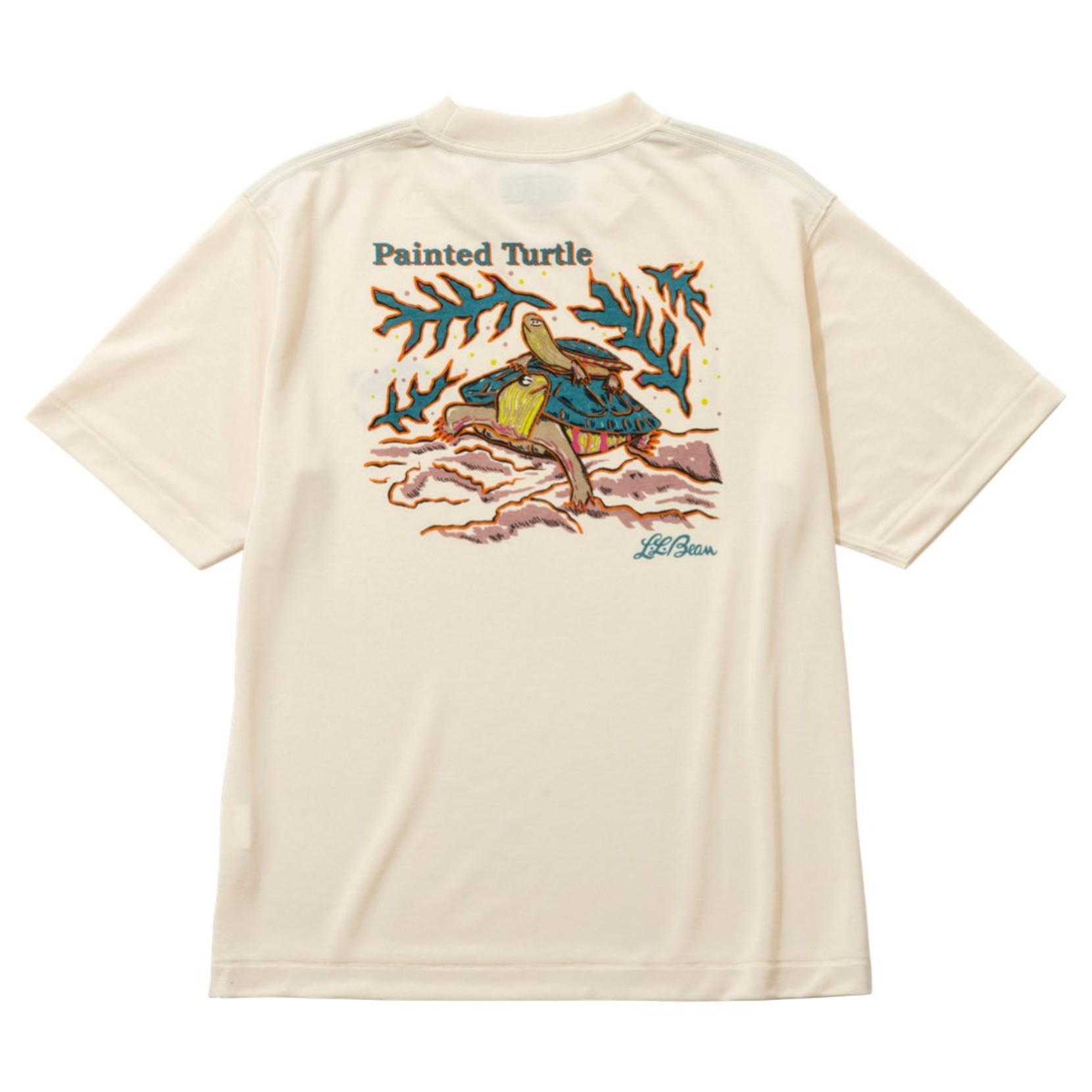 Cream color short sleeve tee shirt with an illustration and text that says "painted turtle" and L. L. Bean logo.