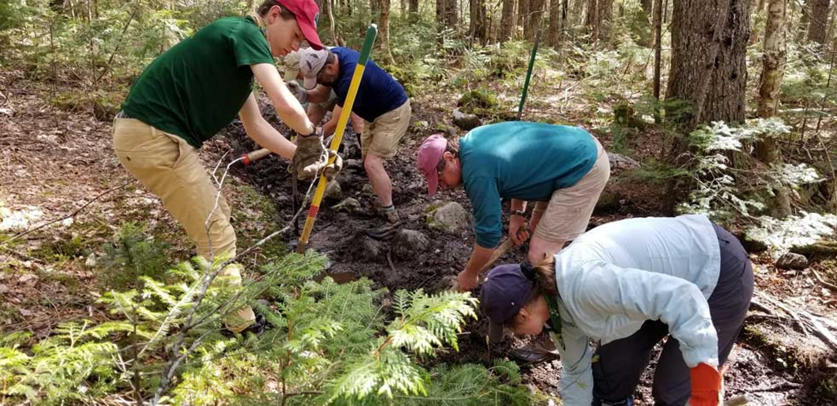 A photo of L.L.Bean employees volunteering for trail maintenence on a section of the Appalachian Trail. 