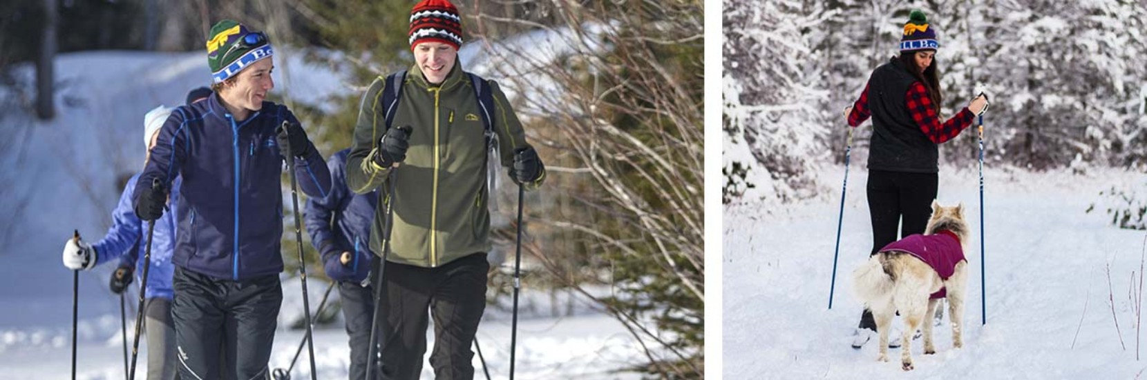 Family cross-country skiing and woman cross-country skiing with dog.