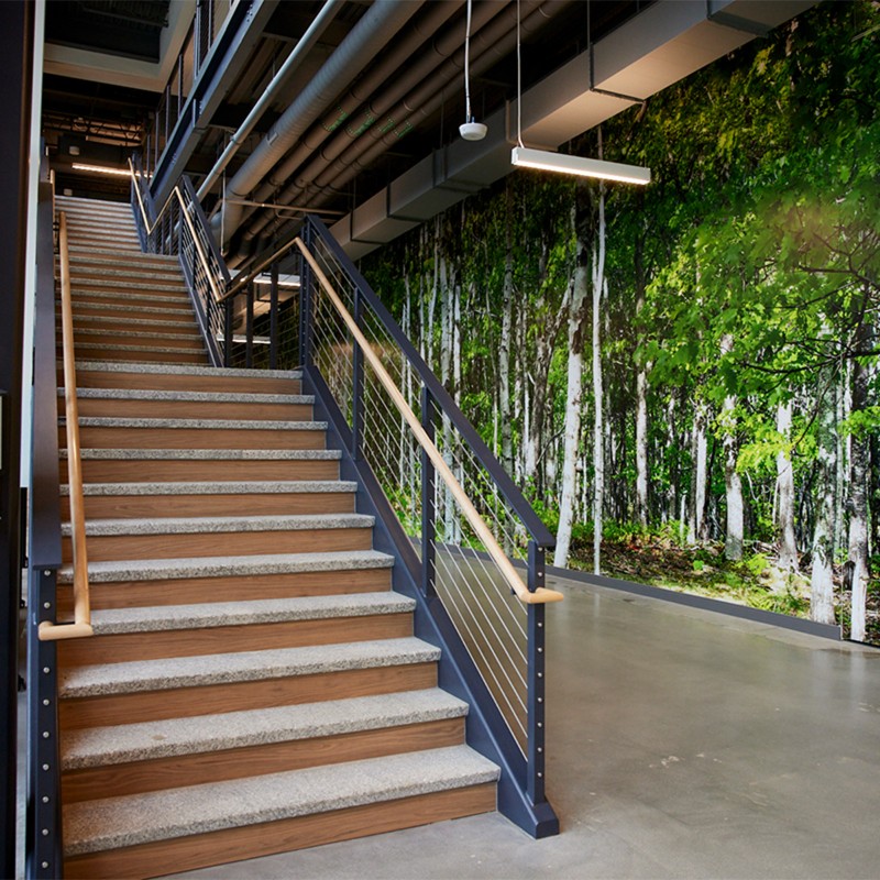 Lifesize tree wall and stairs to upper level