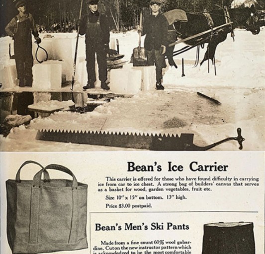 L.L.Bean Ice Carrier