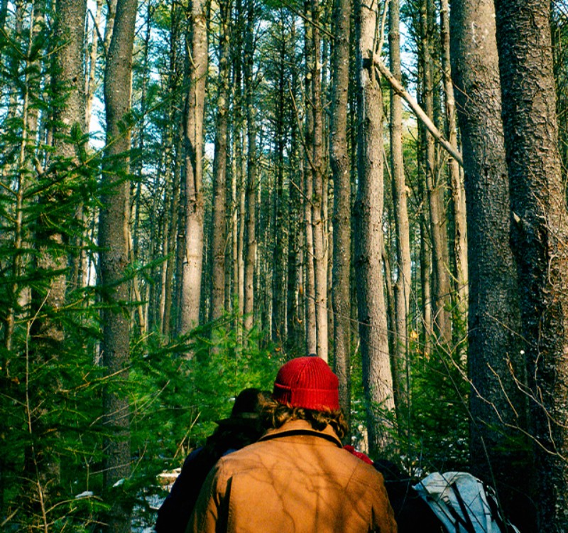 Pettengill Farm, Maine. Photo by Chase Winfrey.