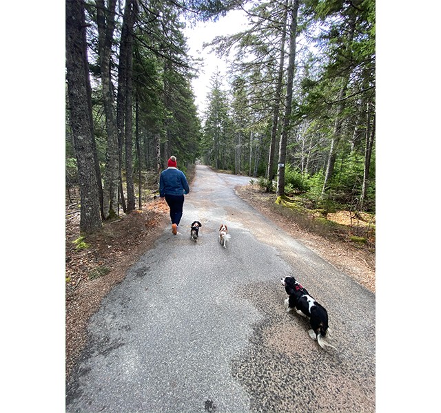 Katie and her pups in Maine