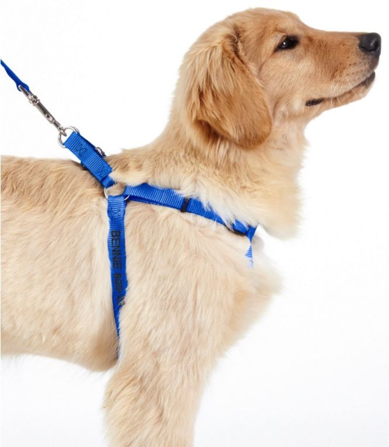 Personalized Pet Harness 