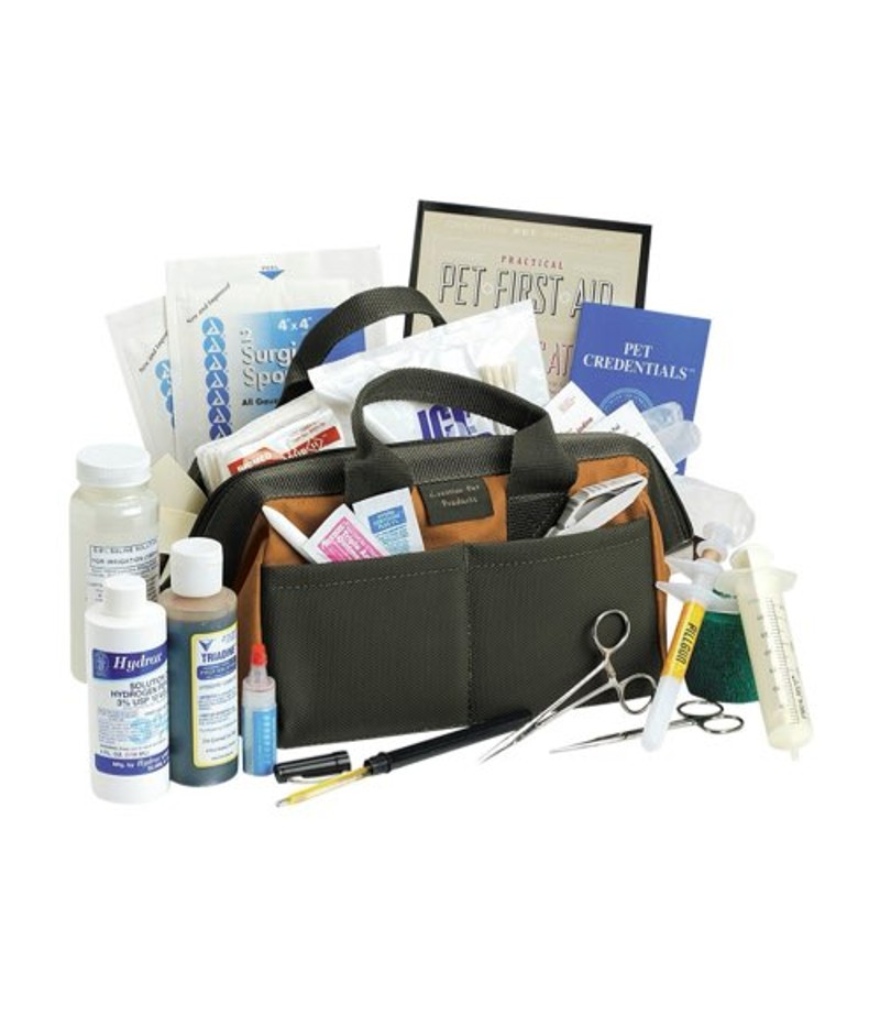 Black Diamond Pieps Avalanche Transceiver